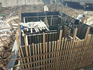 大城經濟開發區新能源車產業園200m3/d生活污水處理一體化設備項目進度